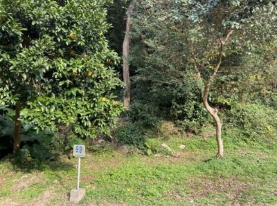 Property 80125 in Itoshima